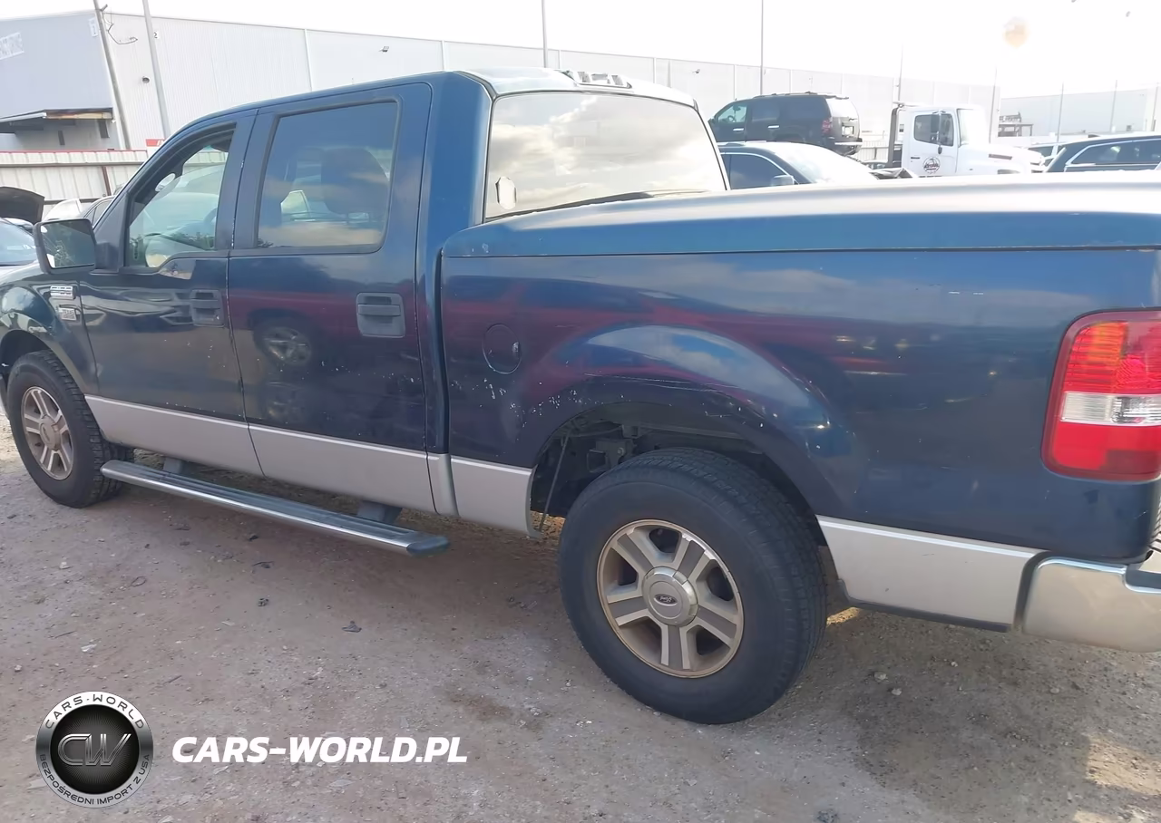 2006 Ford F-150 Xlt VIN:1FTRW12W36FB16134 - 6