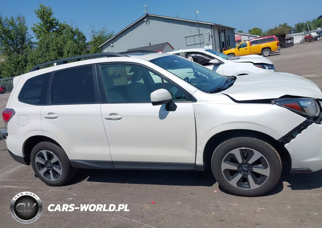 2017 Subaru Forester 2.5I Premium VIN:JF2SJAEC6HH428104 - 13