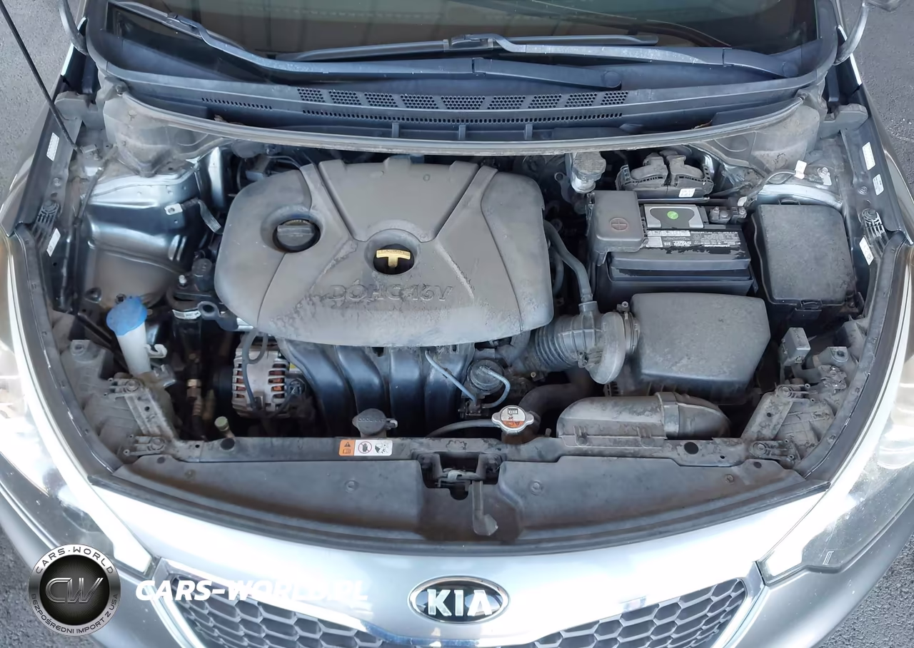 2016 Kia Forte Lx VIN:KNAFX4A65G5603939 - 10