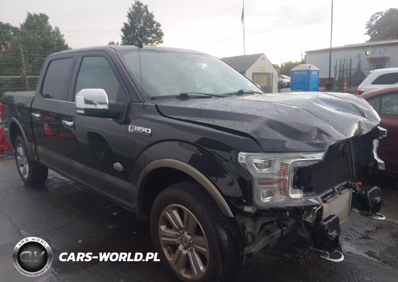2019 Ford F-150 King Ranch VIN:1FTEW1E41KFC02190 - 14