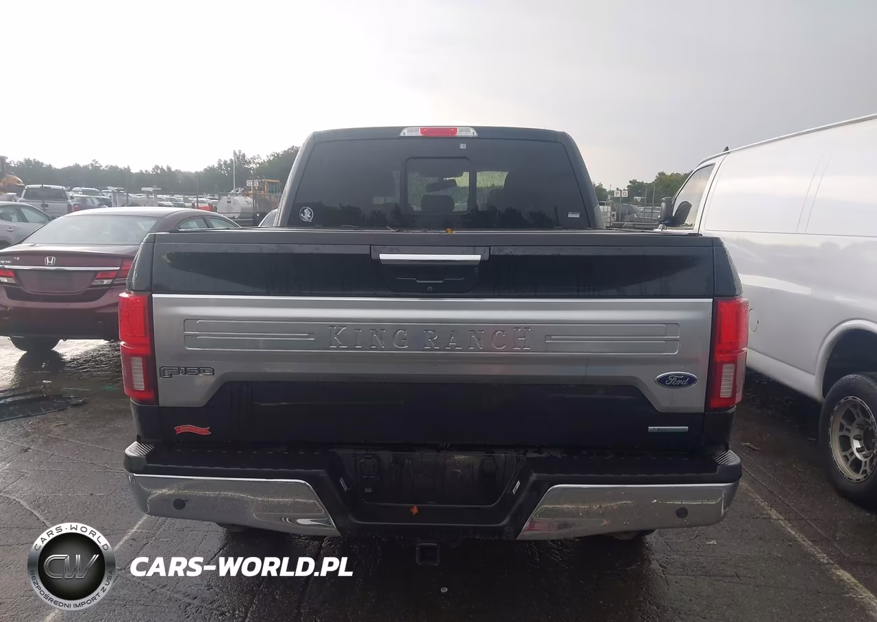 2019 Ford F-150 King Ranch VIN:1FTEW1E41KFC02190 - 17