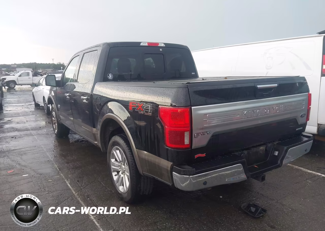 2019 Ford F-150 King Ranch VIN:1FTEW1E41KFC02190 - 3