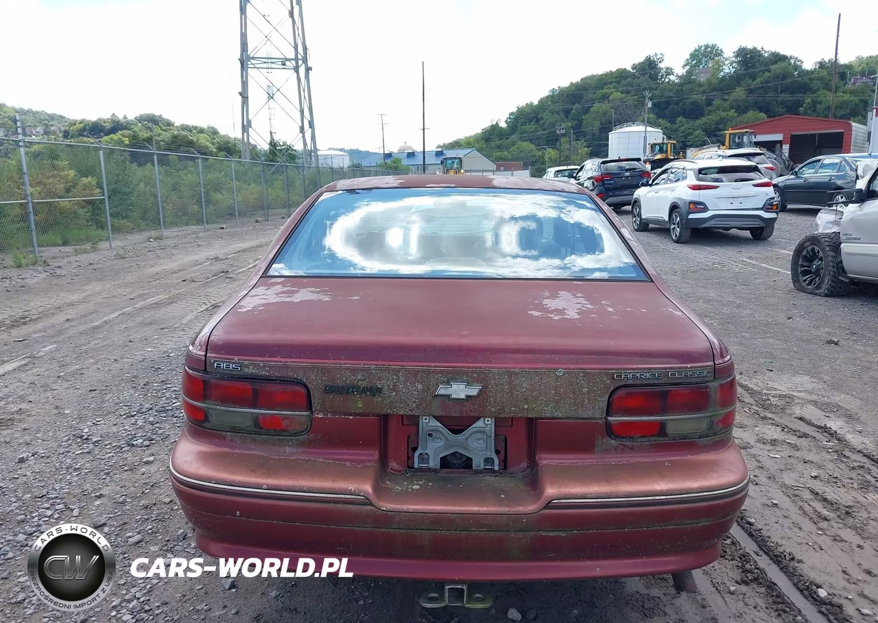 1991 Chevrolet Caprice Classic Ltz VIN:1G1BN53E4MW226276 - 12
