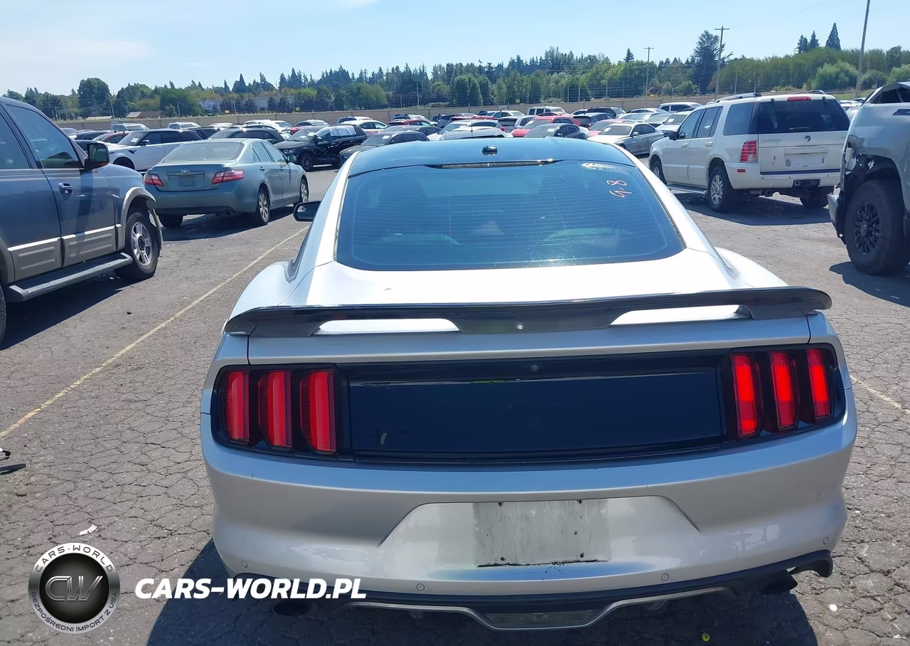 2016 Ford Mustang Ecoboost VIN:1FA6P8TH8G5221726 - 17