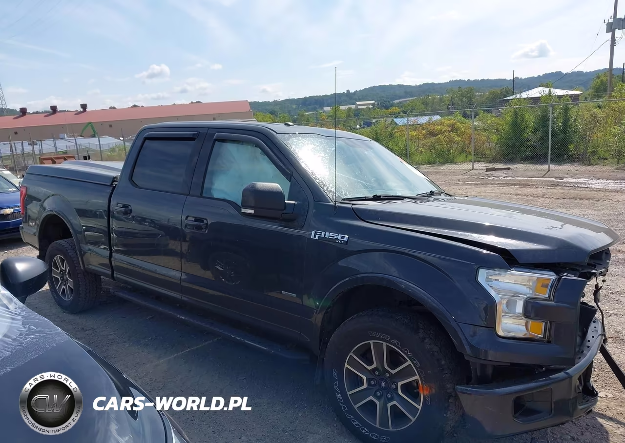 2016 Ford F-150 Xlt VIN:1FTFW1EG9GFD52229 - 13
