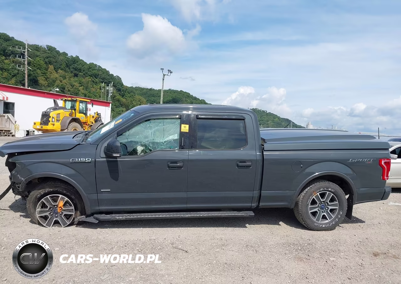 2016 Ford F-150 Xlt VIN:1FTFW1EG9GFD52229 - 14