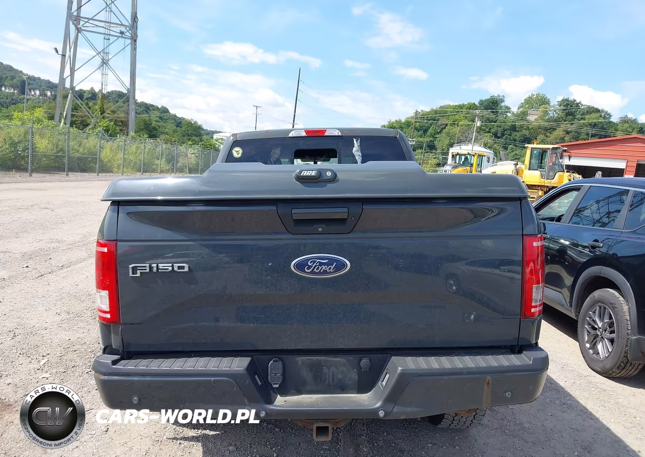 2016 Ford F-150 Xlt VIN:1FTFW1EG9GFD52229 - 16