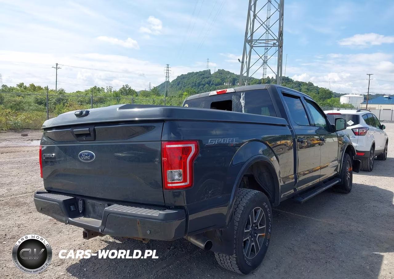 2016 Ford F-150 Xlt VIN:1FTFW1EG9GFD52229 - 4