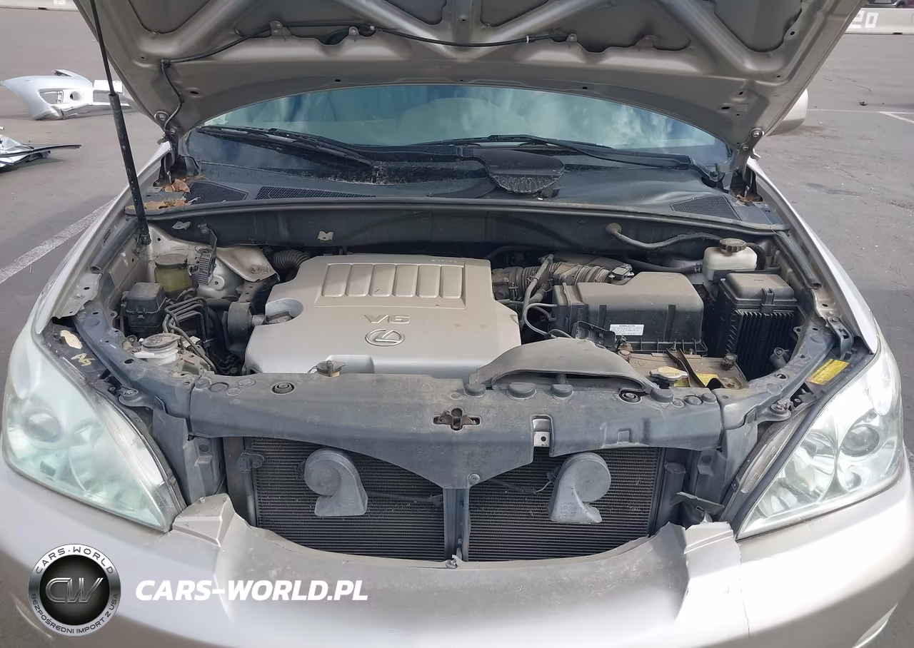 2007 Lexus Rx 350 VIN:2T2HK31U27C011450 - 10