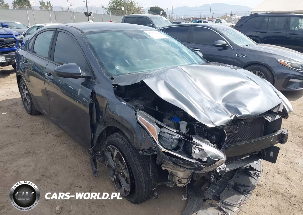 2019 Kia Forte Lxs