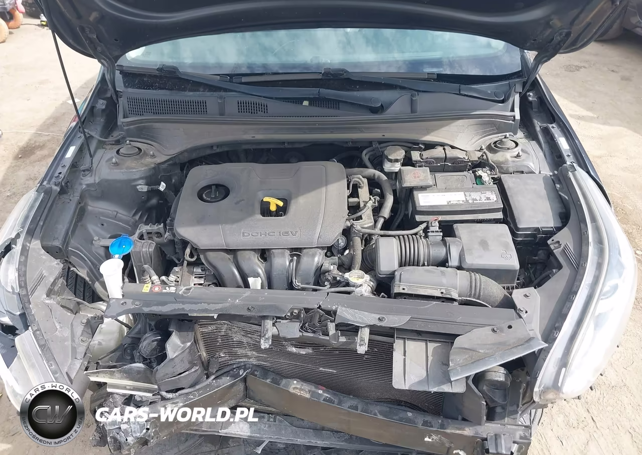 2019 Kia Forte Lxs VIN:3KPF24AD2KE021682 - 10