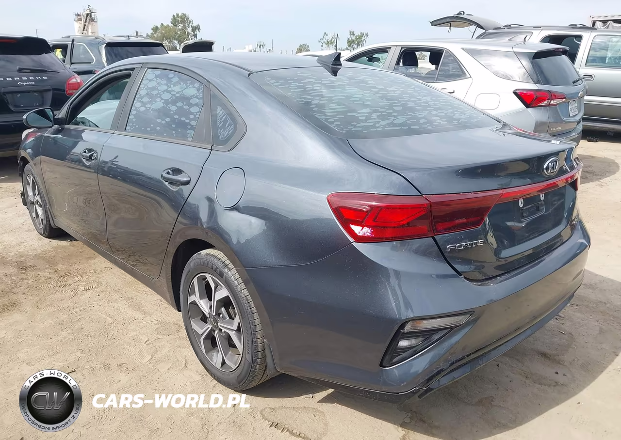 2019 Kia Forte Lxs VIN:3KPF24AD2KE021682 - 3