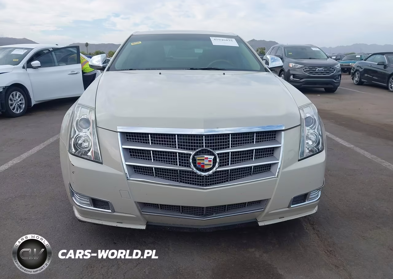 2010 Cadillac Cts Luxury VIN:1G6DE5EG9A0135746 - 12