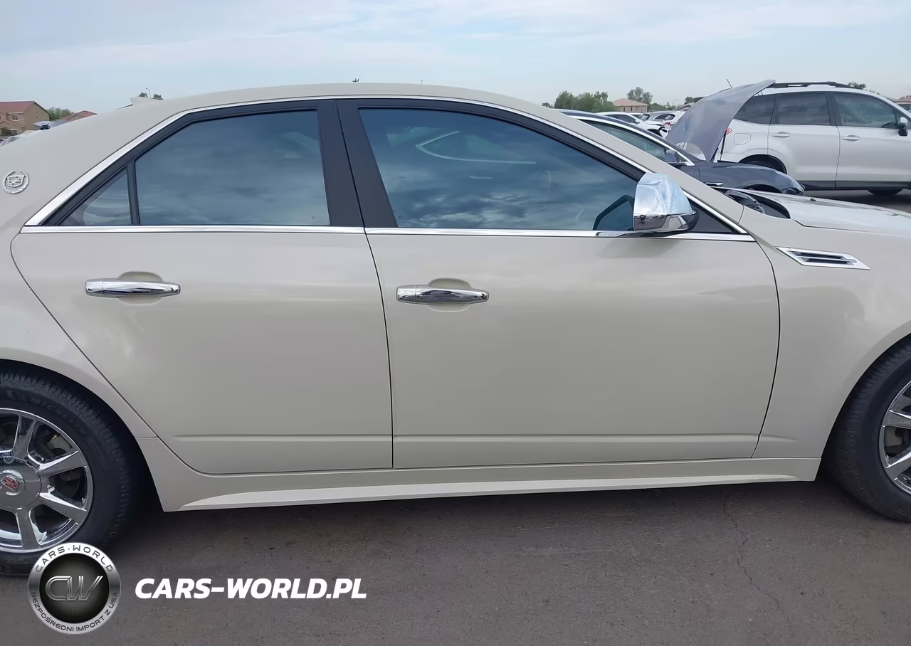 2010 Cadillac Cts Luxury VIN:1G6DE5EG9A0135746 - 13