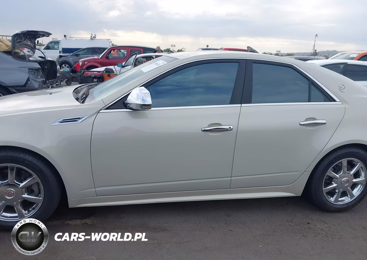 2010 Cadillac Cts Luxury VIN:1G6DE5EG9A0135746 - 14