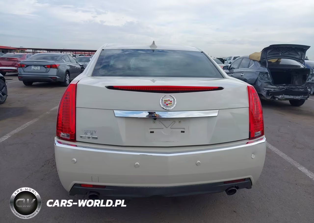 2010 Cadillac Cts Luxury VIN:1G6DE5EG9A0135746 - 16