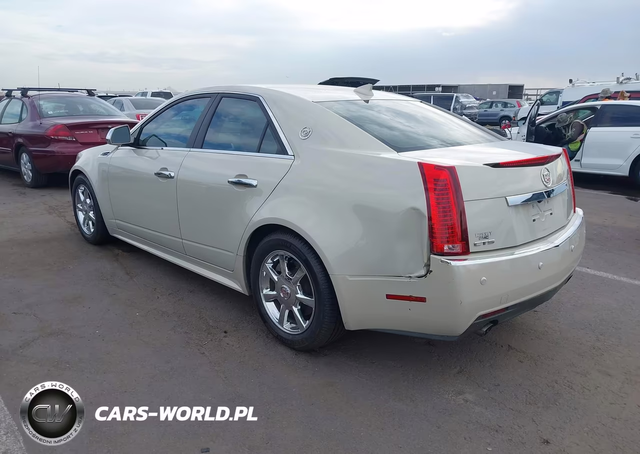 2010 Cadillac Cts Luxury VIN:1G6DE5EG9A0135746 - 3