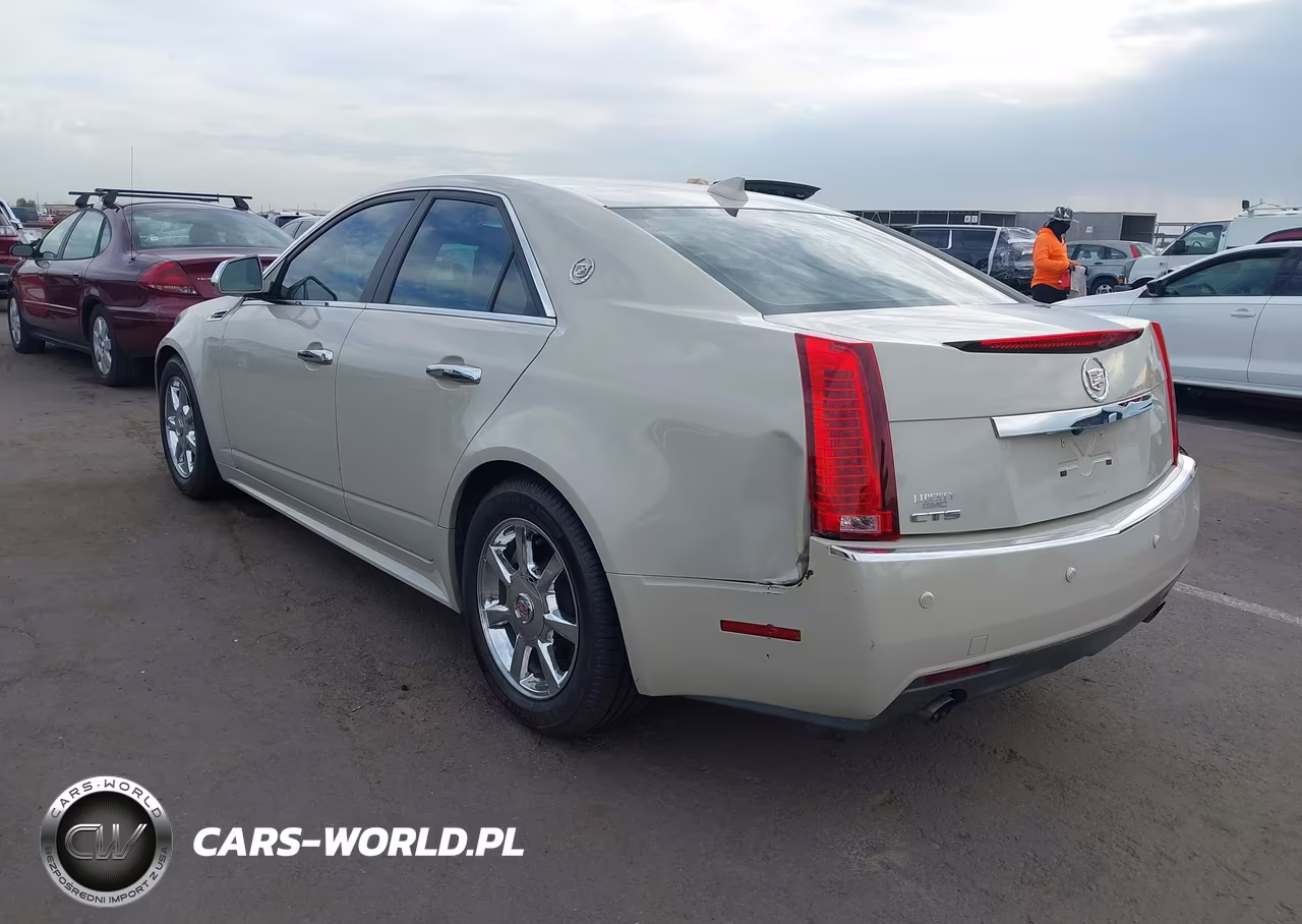 2010 Cadillac Cts Luxury VIN:1G6DE5EG9A0135746 - 6