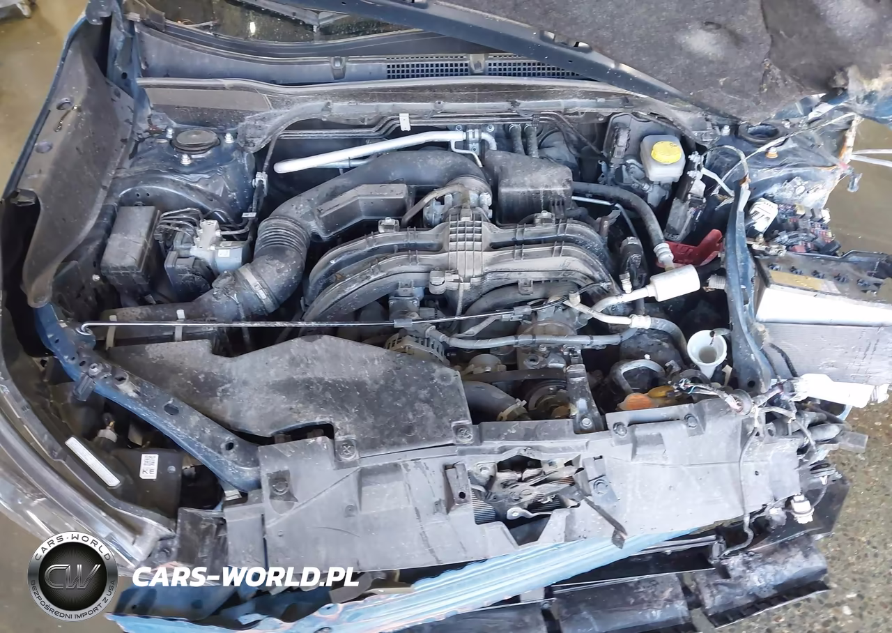 2024 Subaru Forester Wilderness VIN:JF2SKAJC4RH445729 - 10