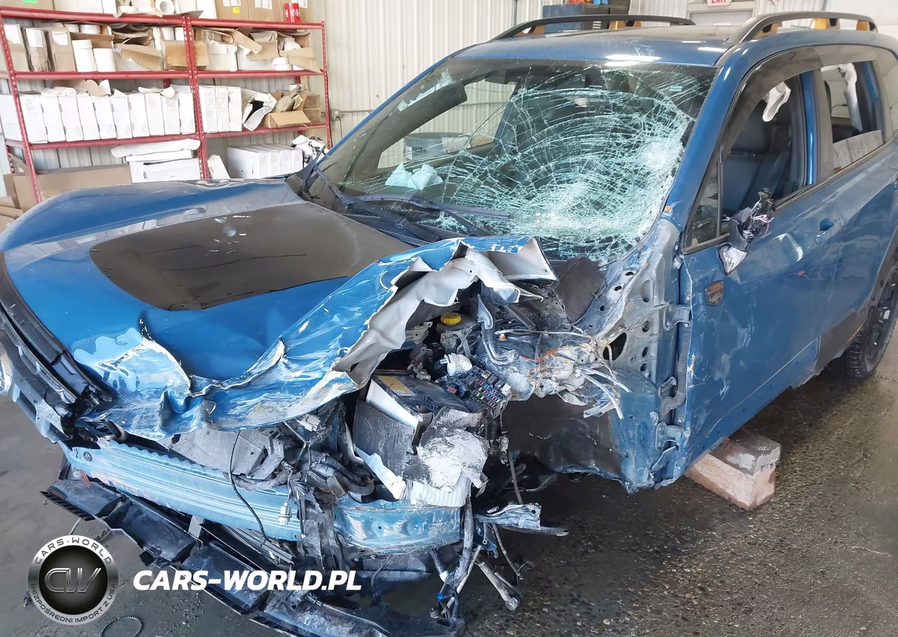 2024 Subaru Forester Wilderness VIN:JF2SKAJC4RH445729 - 6