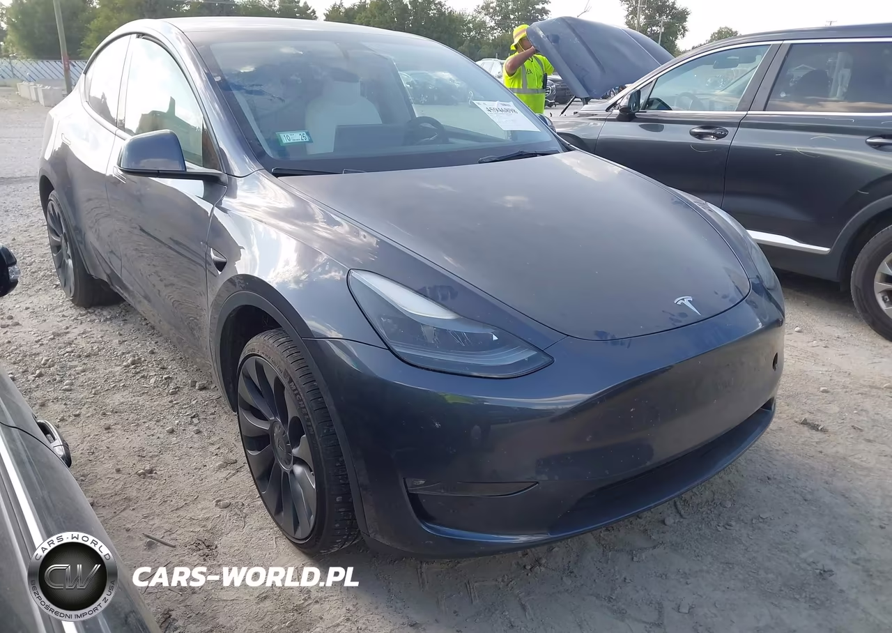 2023 Tesla Model Y Performance Dual Motor All-Wheel Drive VIN:7SAYGDEF1PF864413 - 1