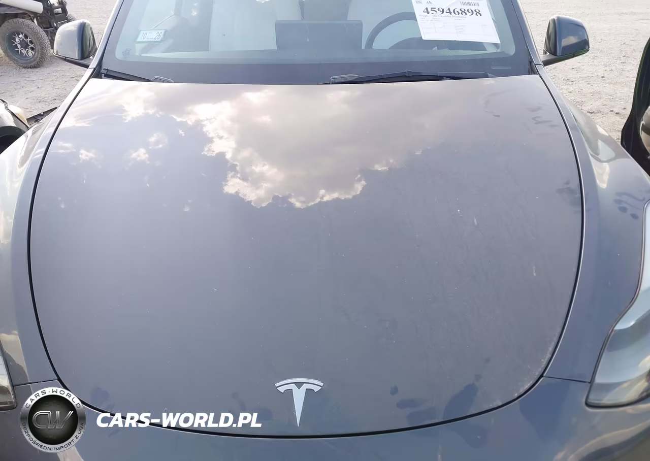 2023 Tesla Model Y Performance Dual Motor All-Wheel Drive VIN:7SAYGDEF1PF864413 - 10
