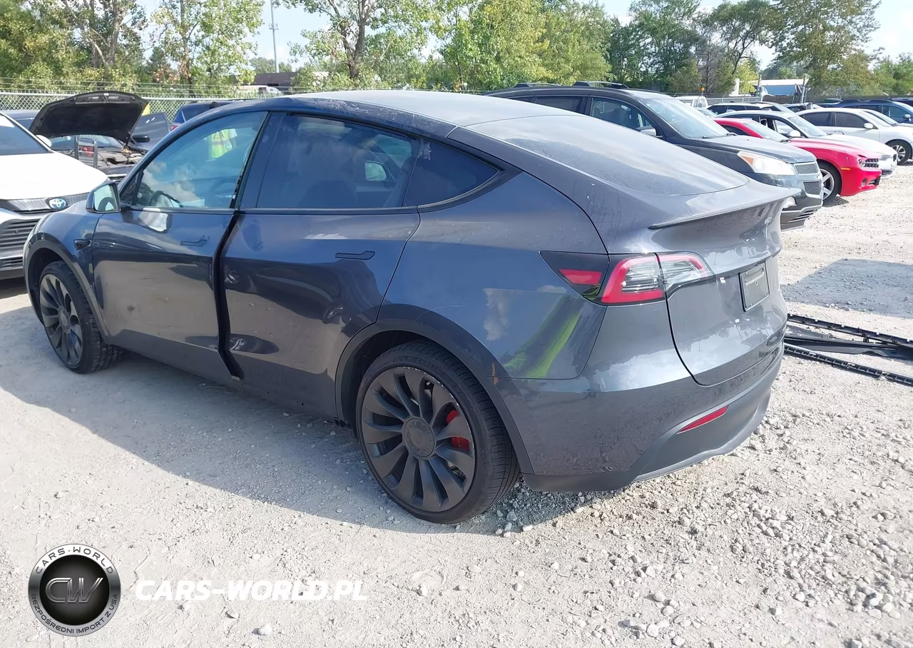 2023 Tesla Model Y Performance Dual Motor All-Wheel Drive VIN:7SAYGDEF1PF864413 - 3