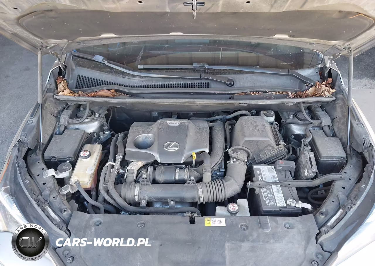 2018 Lexus Nx 300 F Sport VIN:JTJYARBZ1J2093887 - 10