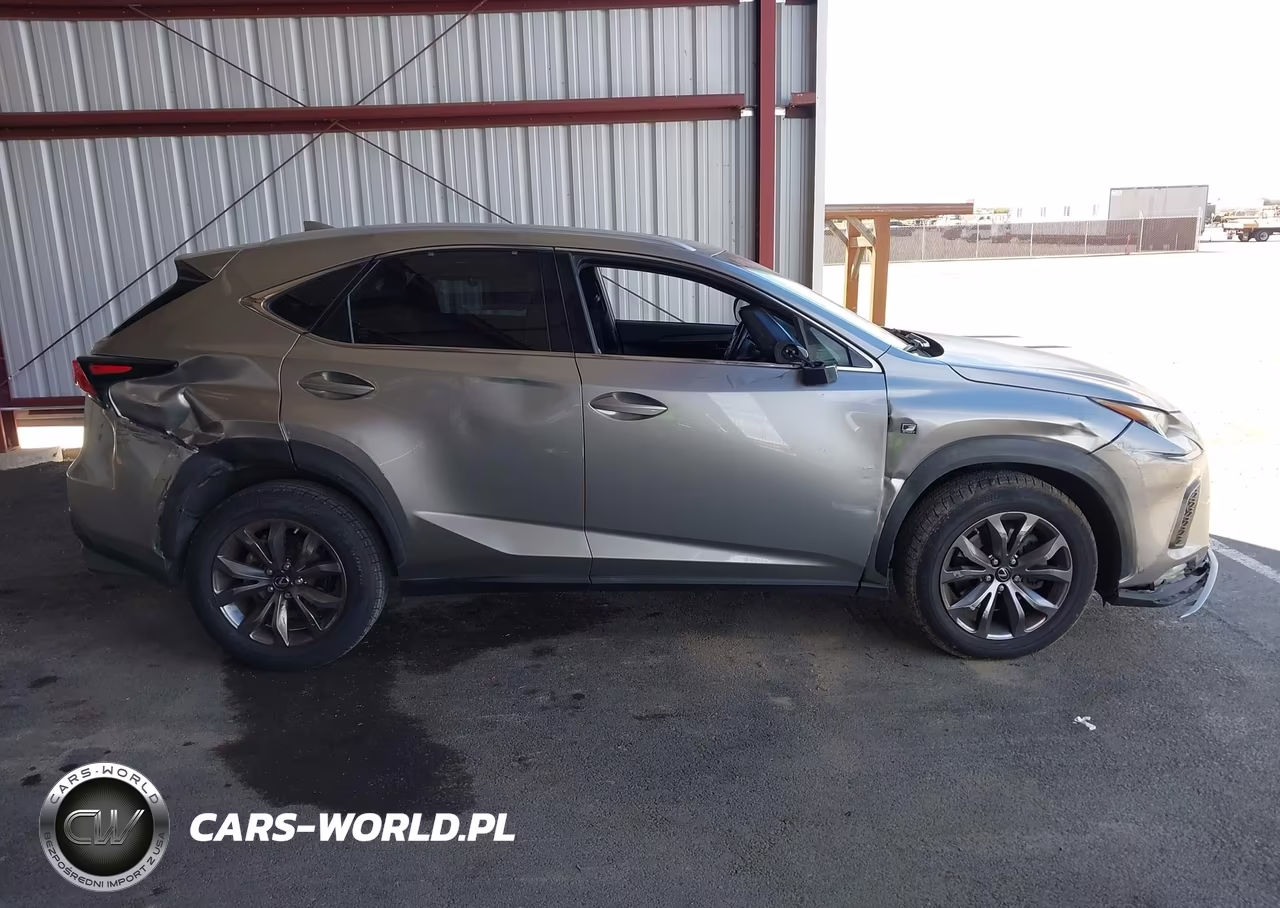 2018 Lexus Nx 300 F Sport VIN:JTJYARBZ1J2093887 - 13