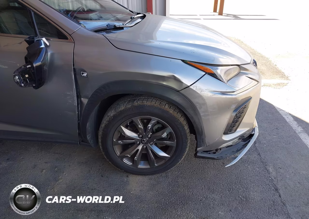 2018 Lexus Nx 300 F Sport VIN:JTJYARBZ1J2093887 - 17