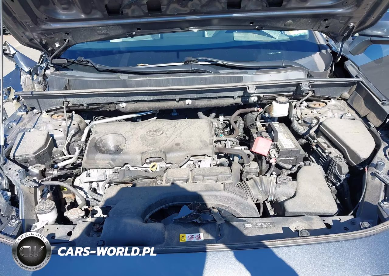2019 Toyota Rav4 Xle VIN:2T3P1RFV1KC008241 - 10
