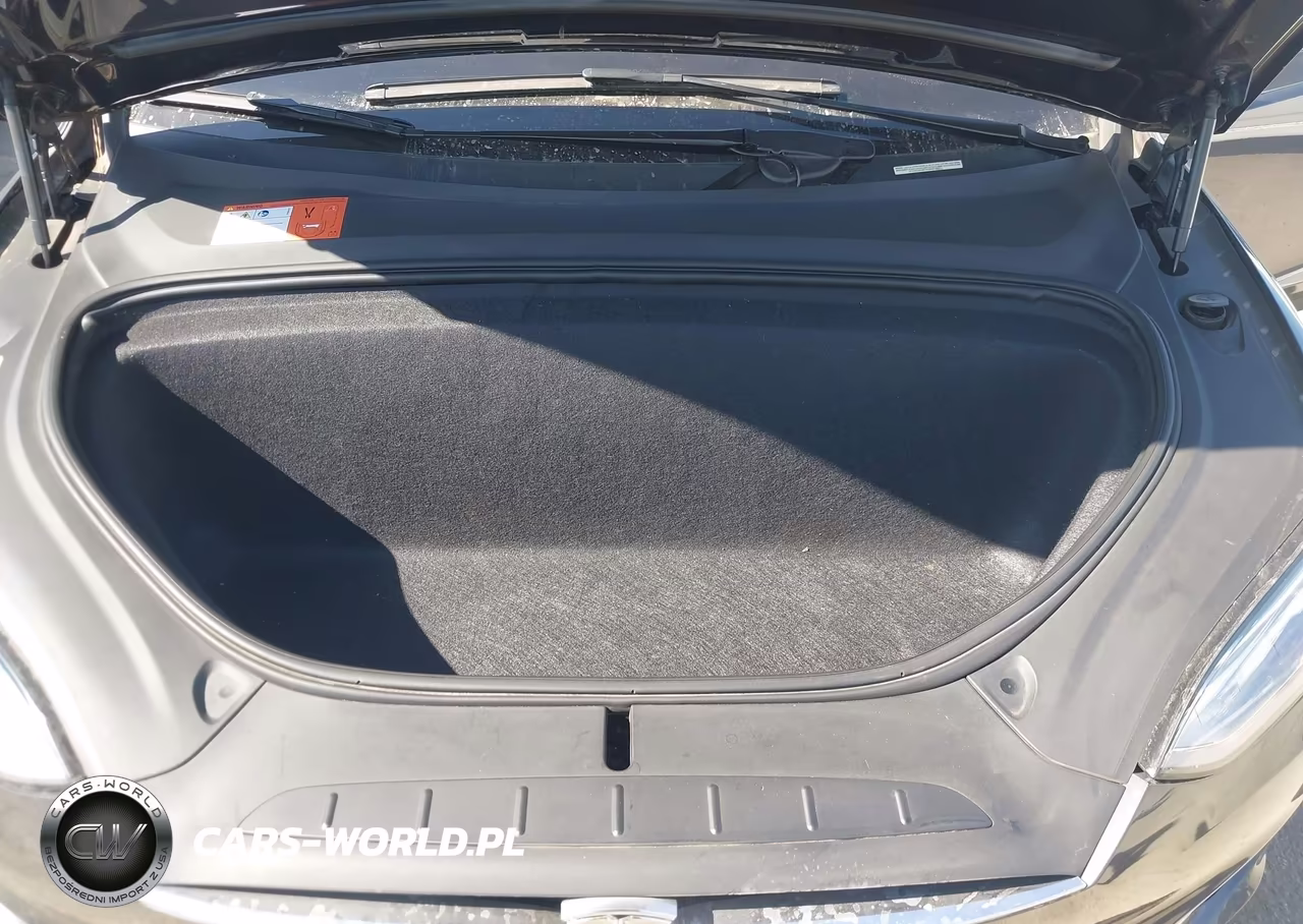 2018 Tesla Model X 100D-75D-P100D VIN:5YJXCAE25JF104654 - 10
