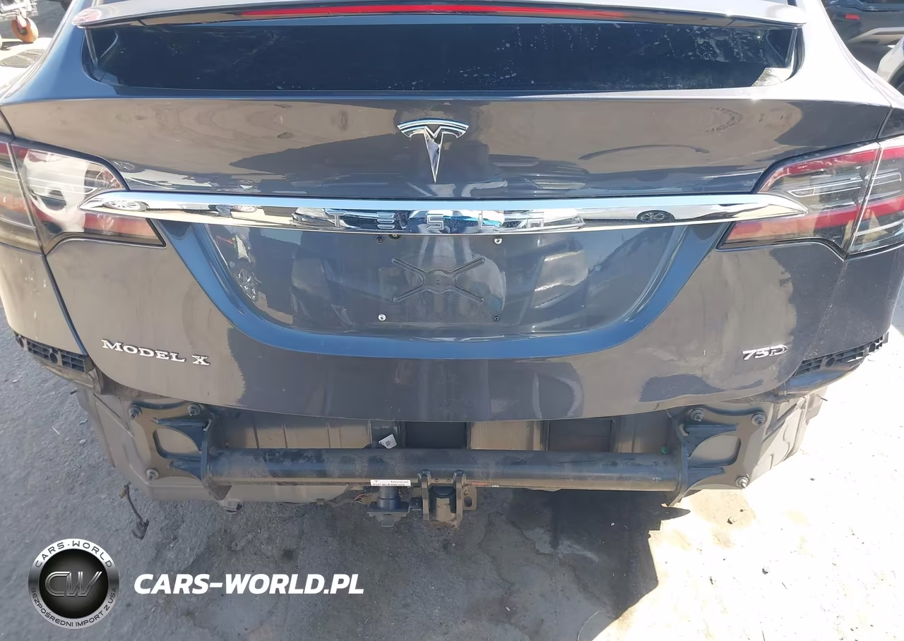 2018 Tesla Model X 100D-75D-P100D VIN:5YJXCAE25JF104654 - 6