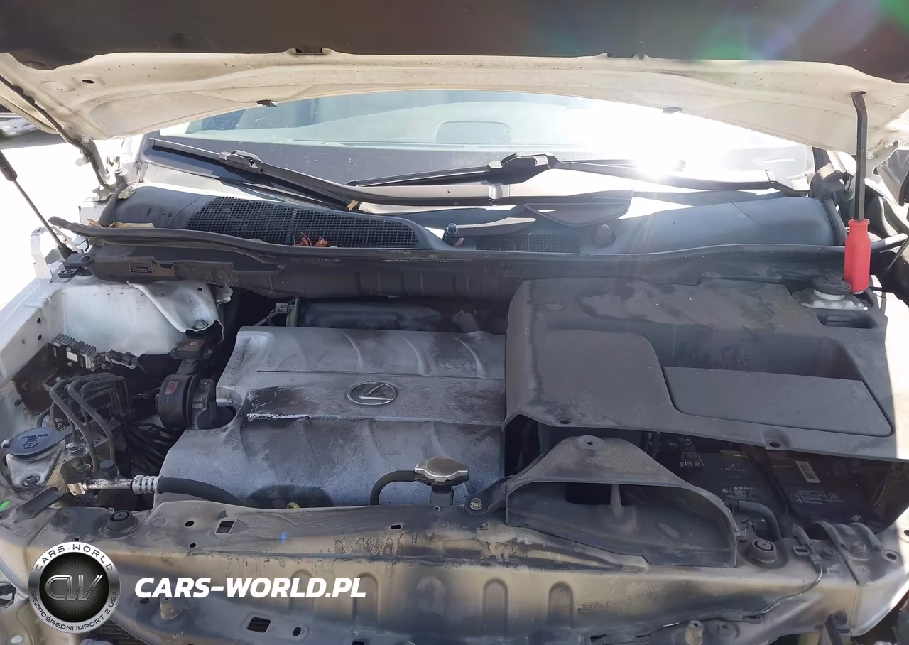 2013 Lexus Rx 350 VIN:2T2ZK1BA1DC094006 - 10