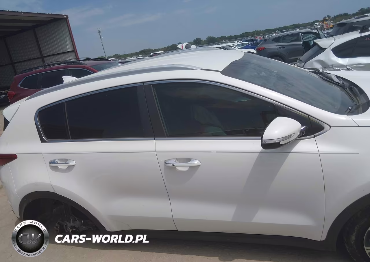 2019 Kia Sportage Ex VIN:KNDPN3AC8K7588945 - 12