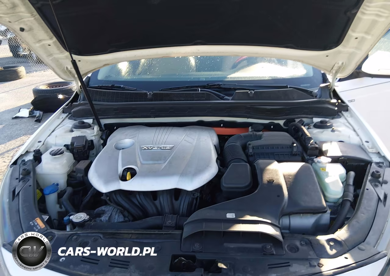 2013 Kia Optima Hybrid Ex VIN:KNAGM4ADXD5049630 - 10
