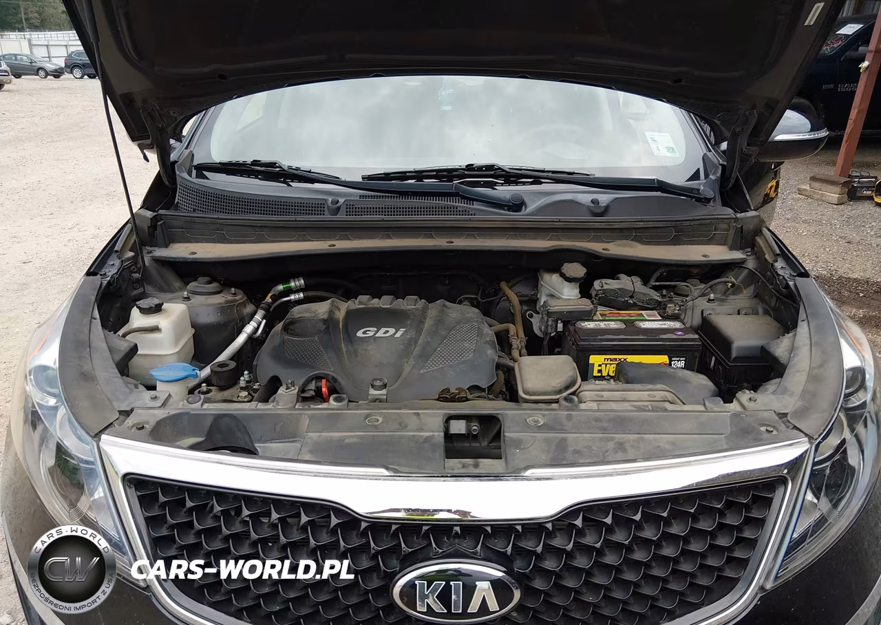 2015 Kia Sportage Lx VIN:KNDPB3ACXF7744028 - 10