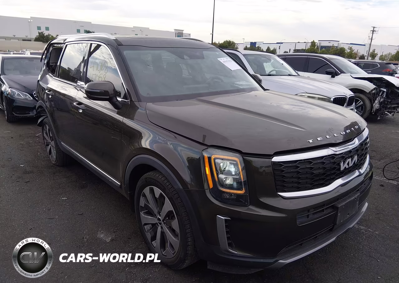 2022 Kia Telluride Ex VIN:5XYP34HC5NG275683 - 13