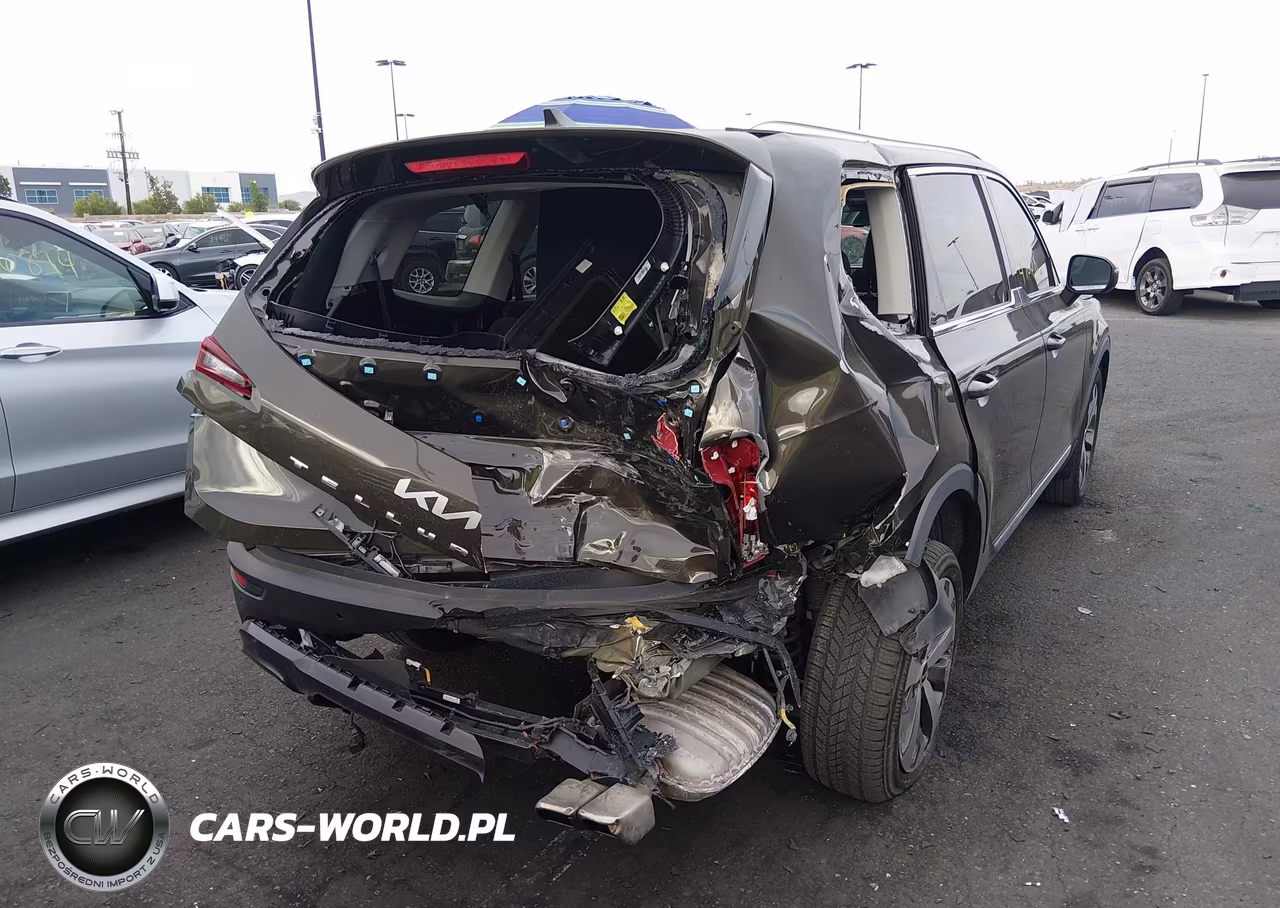 2022 Kia Telluride Ex VIN:5XYP34HC5NG275683 - 6