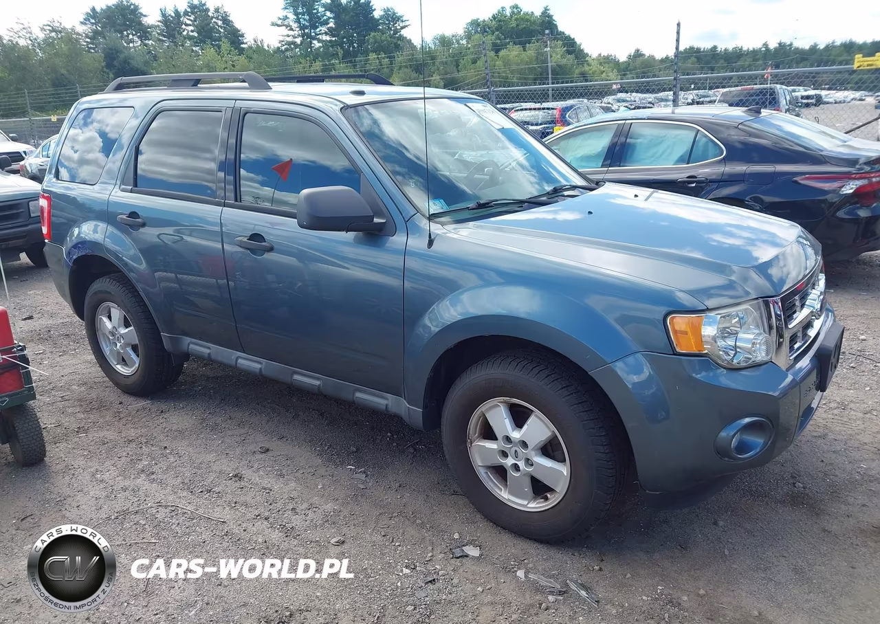 2010 Ford Escape Xlt