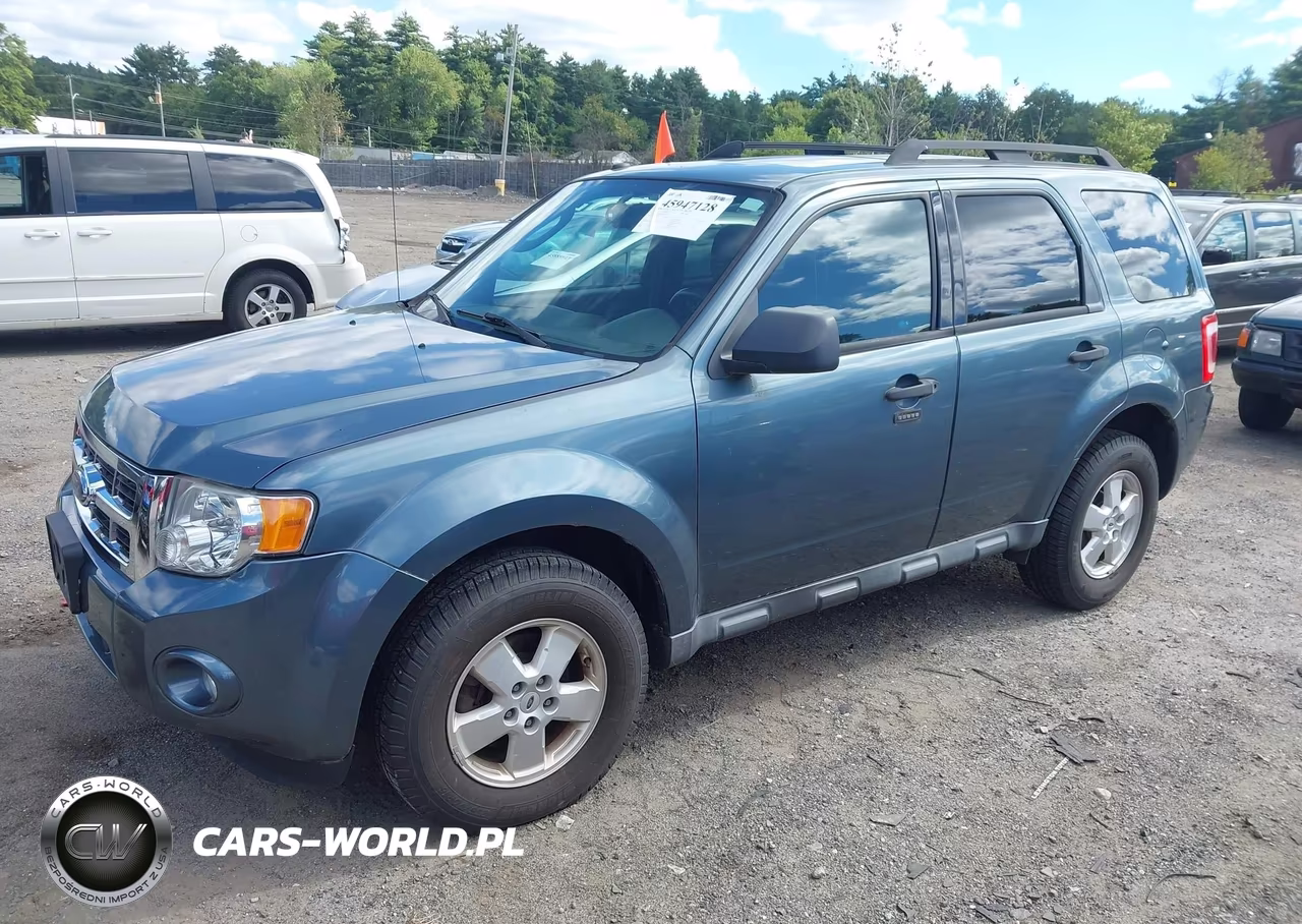 2010 Ford Escape Xlt VIN:1FMCU0D77AKA03052 - 2