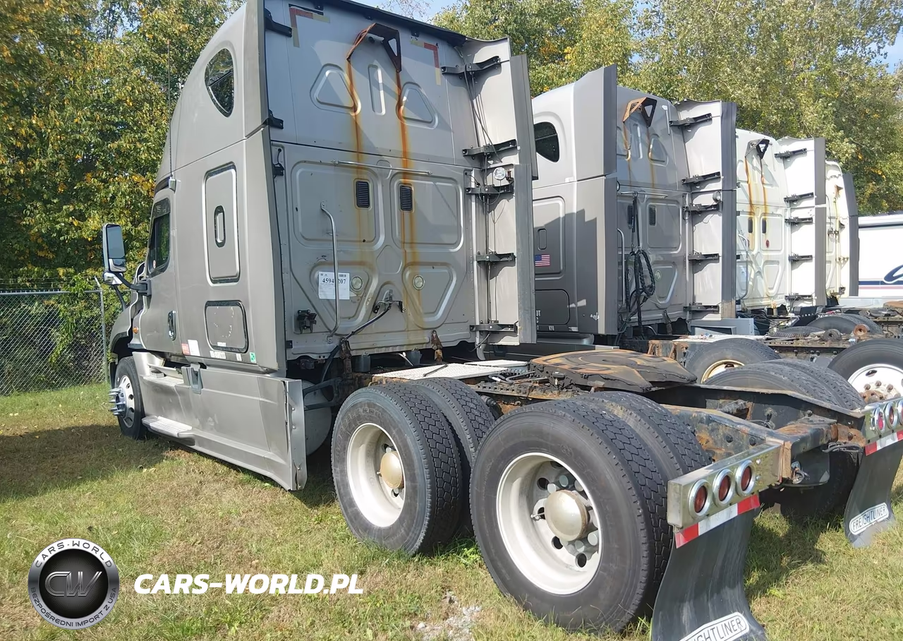 2013 Freightliner Cascadia 125 VIN:1FUJGLDR6DSBV2123 - 3