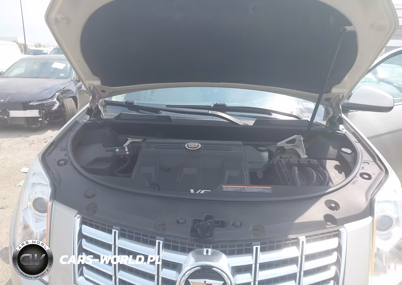 2013 Cadillac Srx Luxury Collection VIN:3GYFNCE34DS558880 - 10