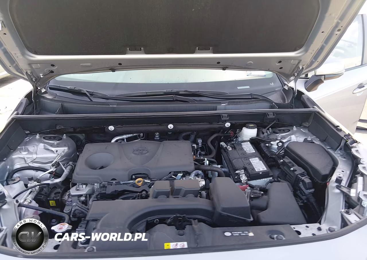 2025 Toyota Rav4 Xle VIN:2T3W1RFV2SW422252 - 10