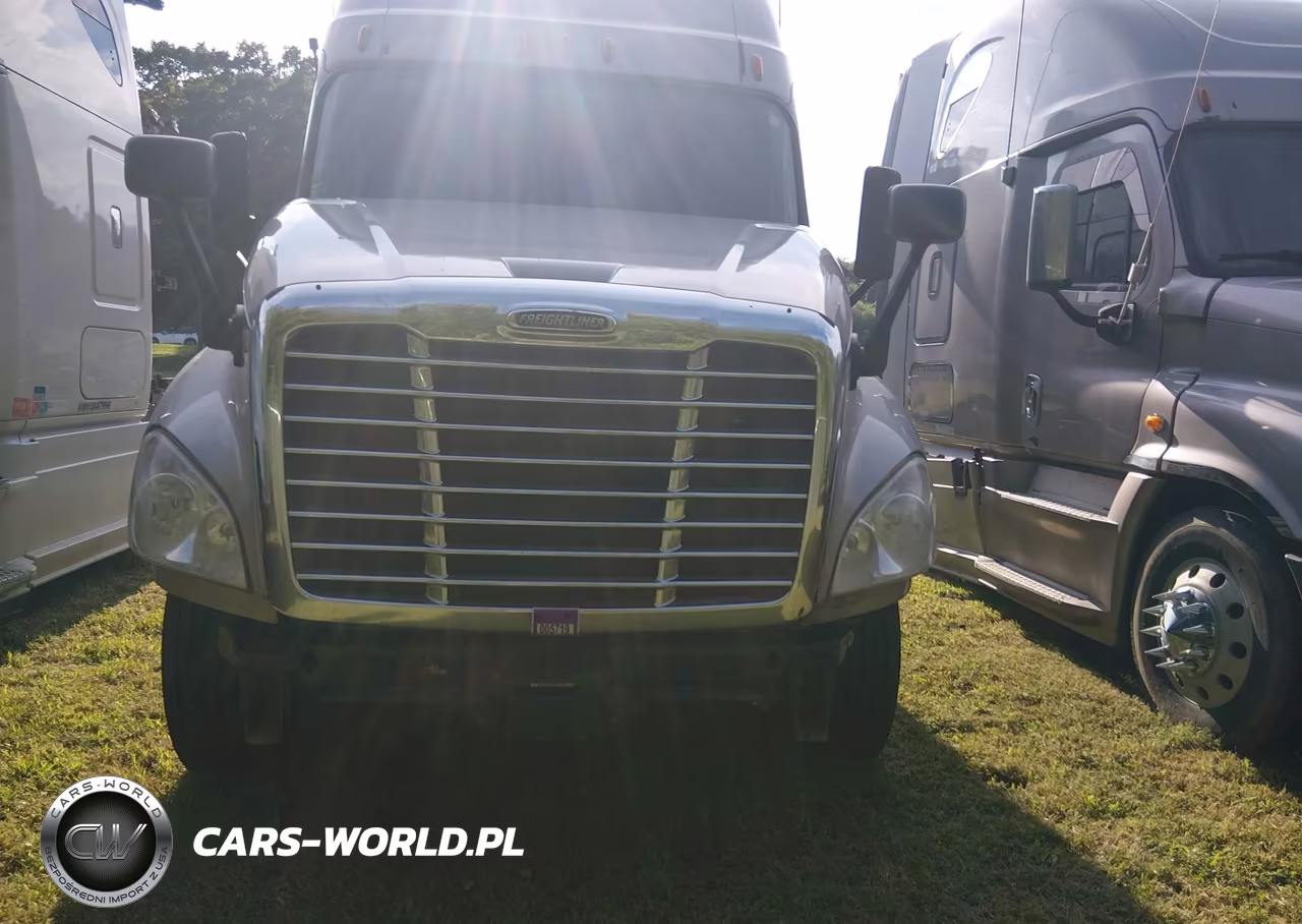 2013 Freightliner Cascadia 125 VIN:1FUJGLDR4DSBV3397 - 12