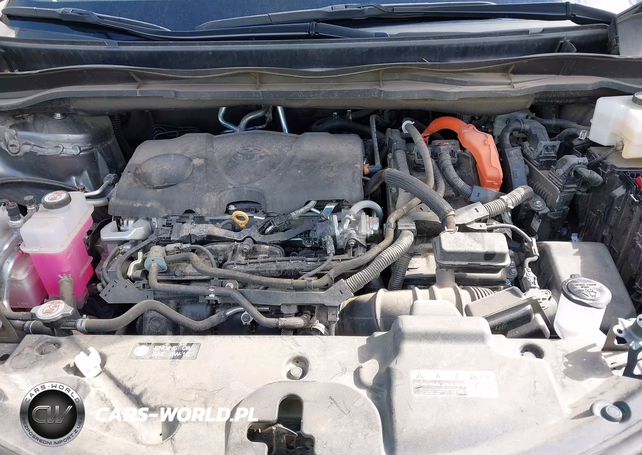2023 Toyota Sienna Platinum VIN:5TDESKFC9PS102692 - 10