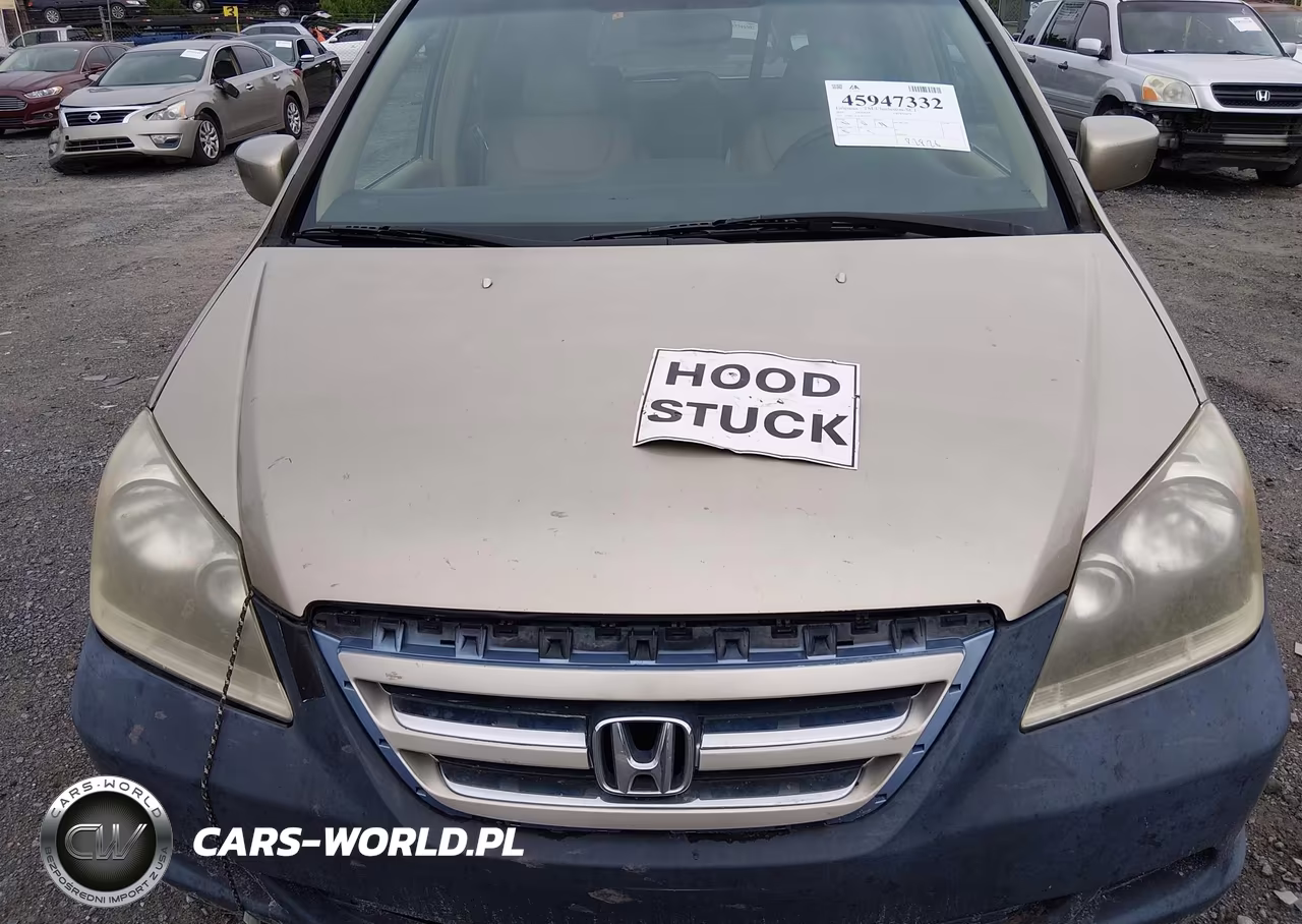 2005 Honda Odyssey Ex-L VIN:5FNRL387X5B113335 - 10