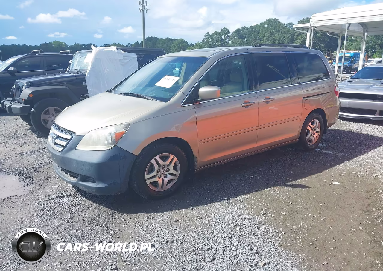 2005 Honda Odyssey Ex-L VIN:5FNRL387X5B113335 - 2