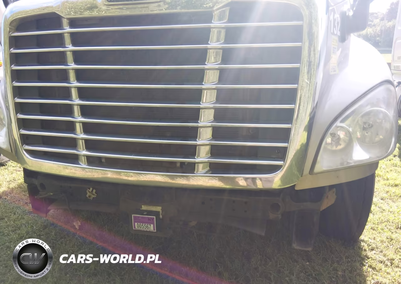 2013 Freightliner Cascadia 125 VIN:1FUJGLDR1DSBV2997 - 12