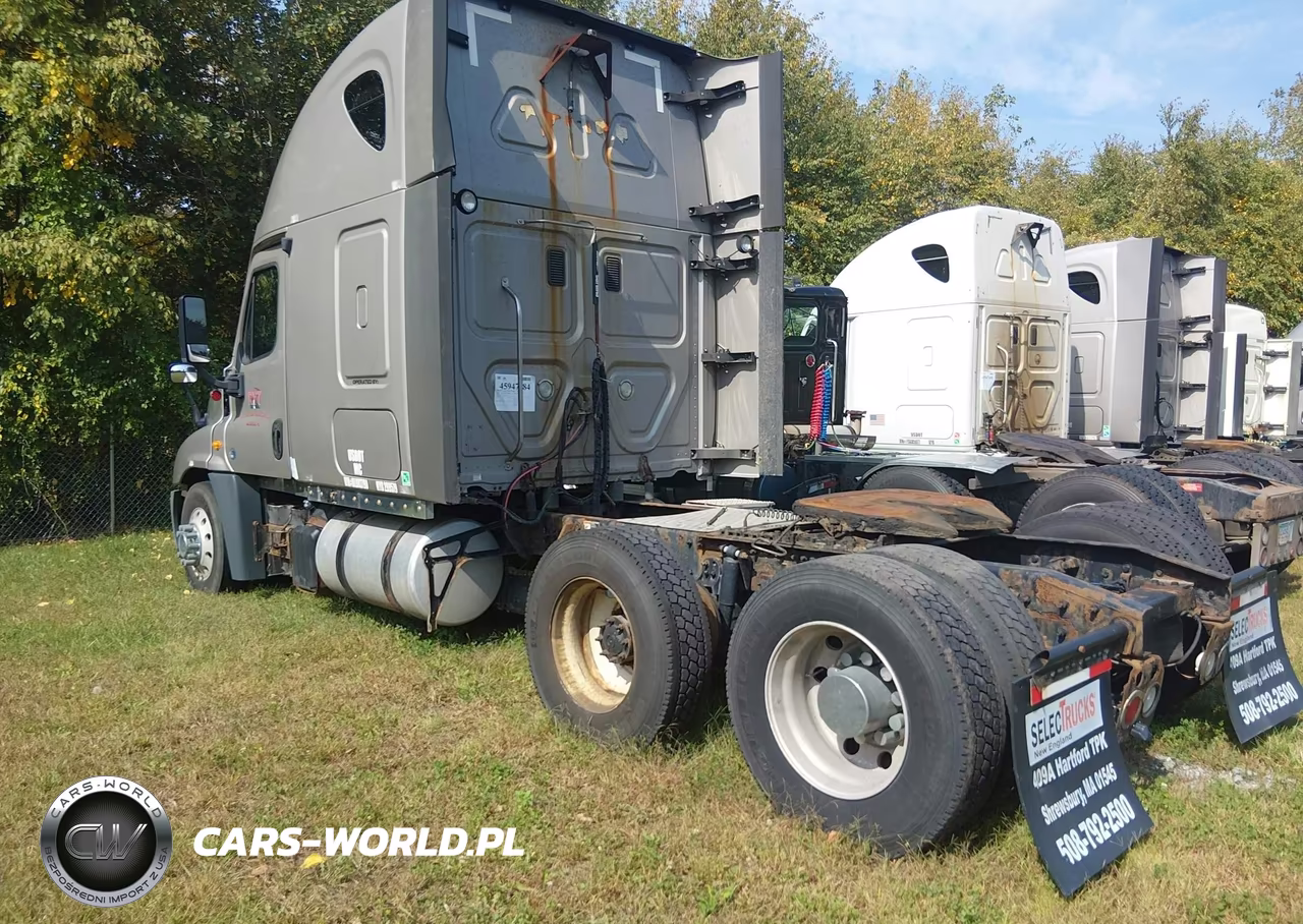 2013 Freightliner Cascadia 125 VIN:1FUJGLDR3DLBV3790 - 3